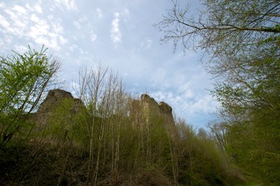 Caché par la nature_4601417901_l.jpg